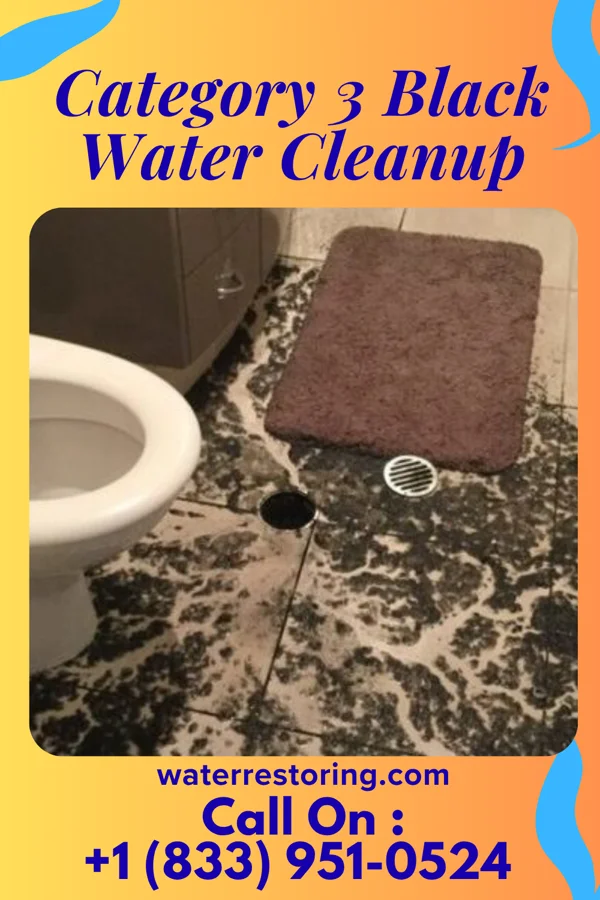 Category 3 Black Water Cleanup in Chittenango, NY