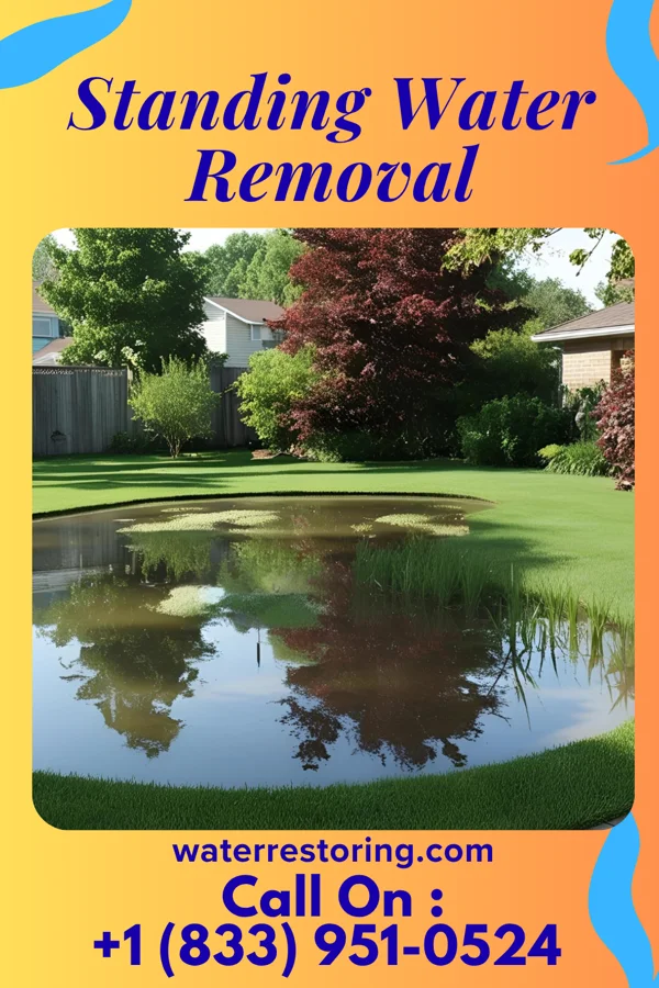 Standing Water Removal in Chittenango, NY